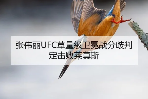 张伟丽UFC草量级卫冕战分歧判定击败莱莫斯