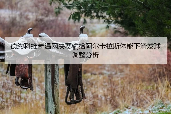 de-yue-ke-wei-qi-wen-wang-jue-sai-shu-gei-a-er-ka-la-si-ti-neng-xia-hua-fa-qiu-tiao-zheng-fen-xi-2-512.jpg